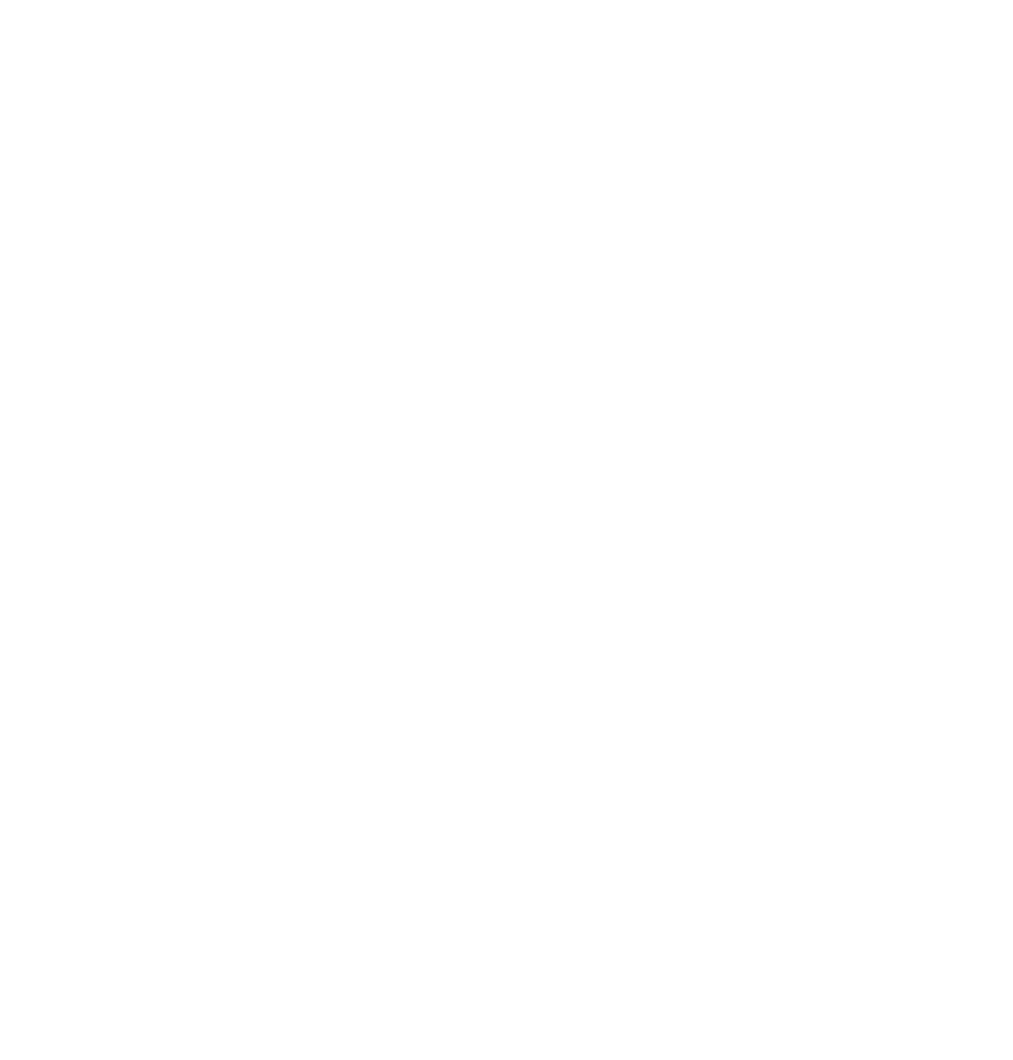 Regione Veneto_Maestro Artigiano_w